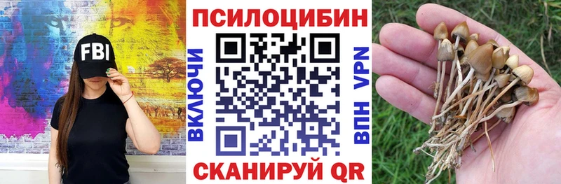 Галлюциногенные грибы Psilocybe  ссылка на мегу ссылка  Нестеров 